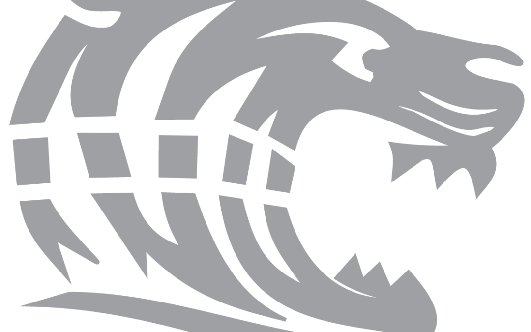 Dawson-County-Tigers-Logo