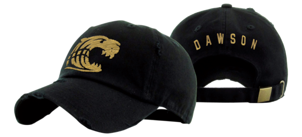 Dawson County Tigers Vintage Hat - Black